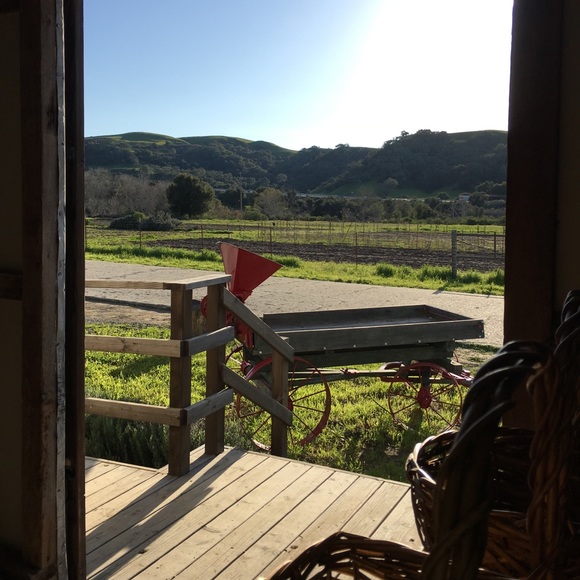 Hello + Welcome to my Little Homestead 👋 - Picture 9 of 16